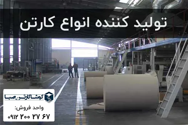 کارتن سازی چیست