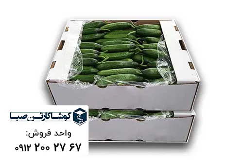 کارتن میوه خیار