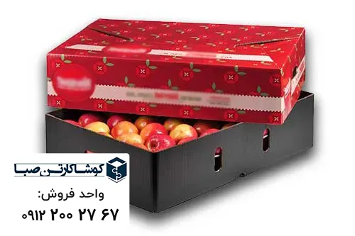 کارتن میوه
