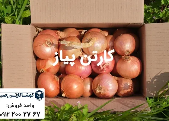 کارتن پیاز