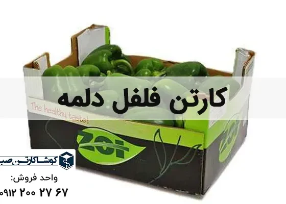 کارتن فلفل دلمه | بسته بندی فلفل دلمه ای