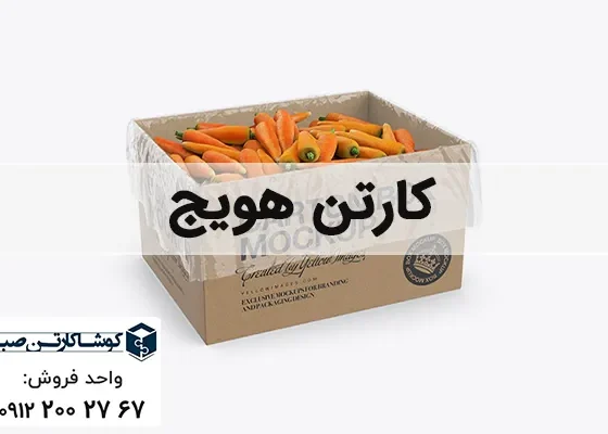کارتن هویج