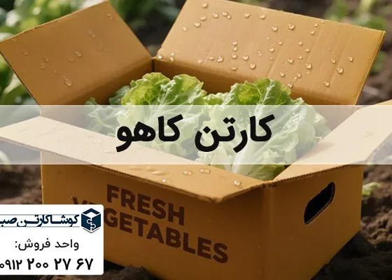 کارتن کاهو | خرید عمده کارتن کاهو