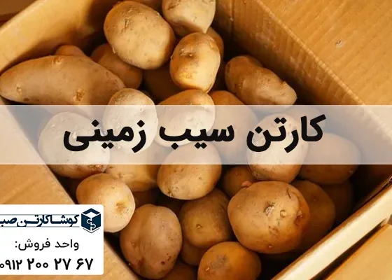 کارتن سیب زمینی | سفارش عمده کارتن بسته بندی سیب زمینی