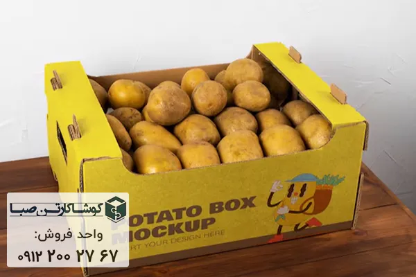 قیمت کارتن سیب زمینی