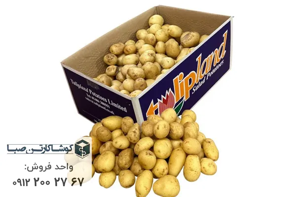 خرید کارتن سیب زمینی ارزان