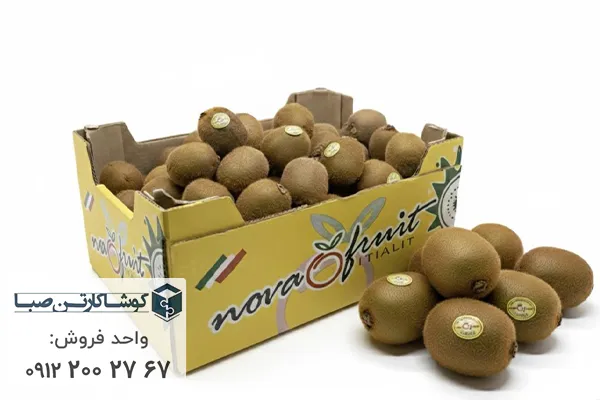 خرید کارتن کیوی مدل تلسکوپی