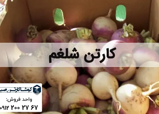 کارتن شلغم | انواع بسته بندی شلغم