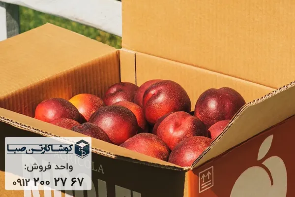 خرید عمده کارتن شلیل