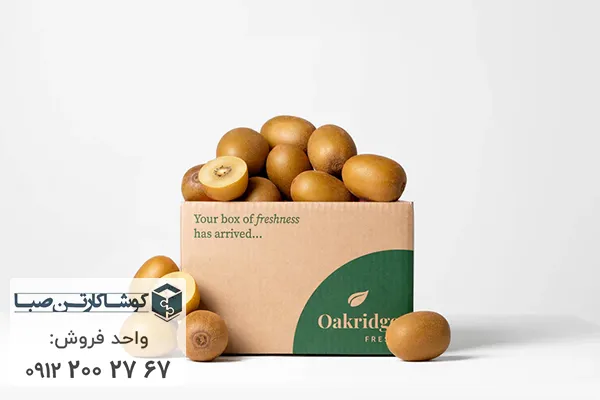 کارتن بسته بندی کیوی