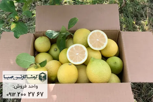 بسته بندی لیمو ترش